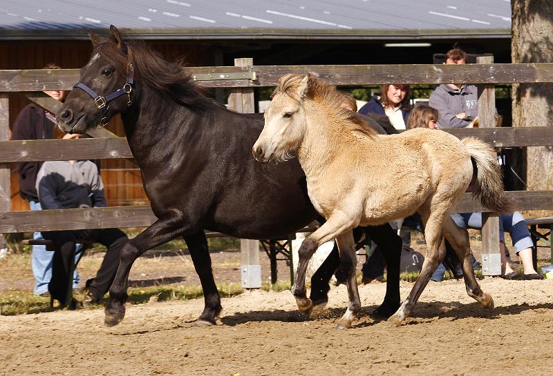 Bjarndis von Heidmoor e.jpg